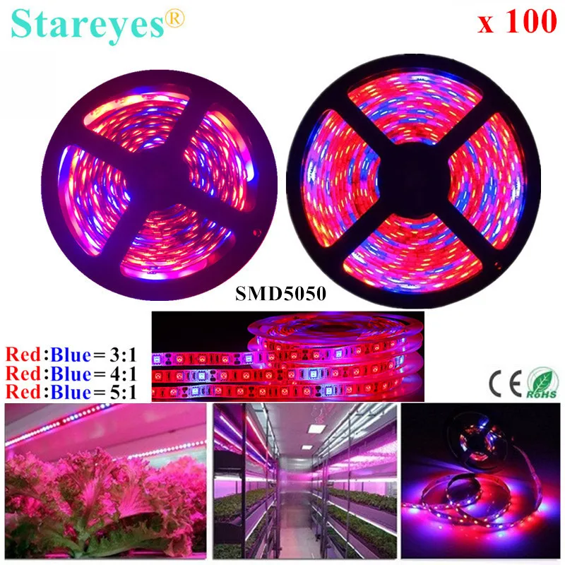 cheap 100 Pcs SMD 5050 5m LED Strip Growth Phyto Lamp Full Spectrum LED Fitolampy Grow Light For Greenhouse Hydroponic plant box tent