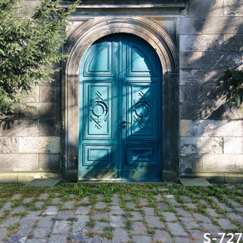10x10FT Blue Door Green Stone House Sunshine Grass Yard Branch Custom Photography Studio Backdrops Backgrounds Vinyl 8x8 8x10 |
