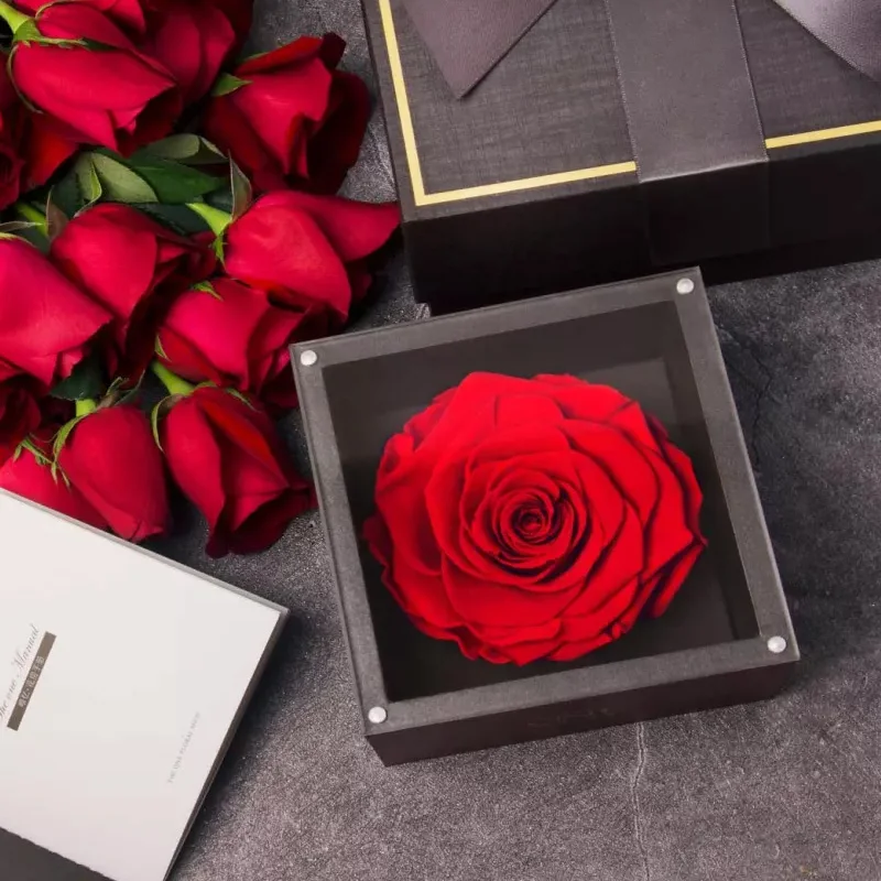 Xiaomi Youpin The One Forever Rose Flower консервированная бесземная свежая роза в коробке, свадебные украшения, уникальные подарки без сумки