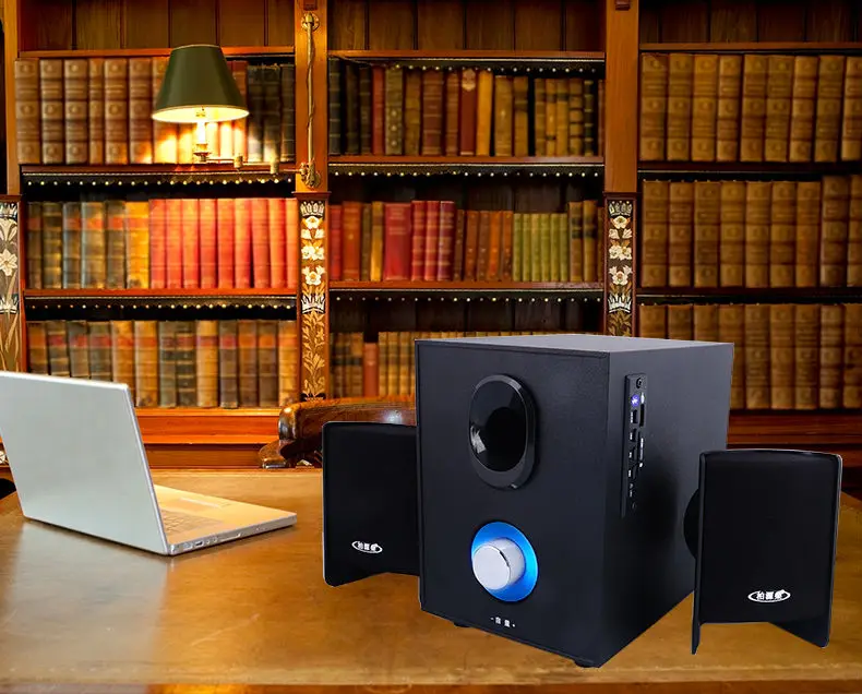 Speaker BS100  (11)