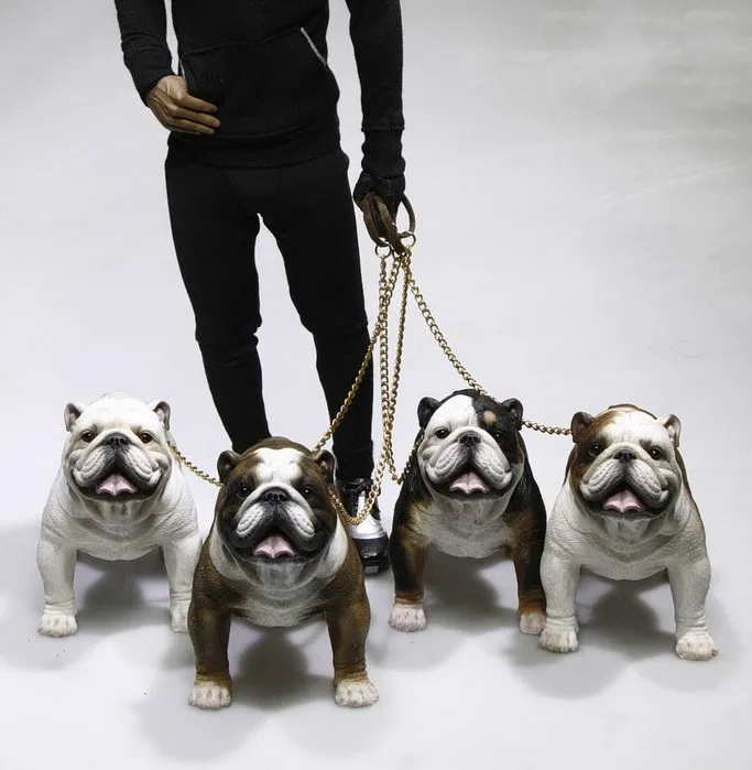 

Mr.Z Real Animal 1/6 BULLDOG Z003-Z006 British Bulldog Resin Statue for 12"DAM HT Collectible Action Figure Scene Accessories