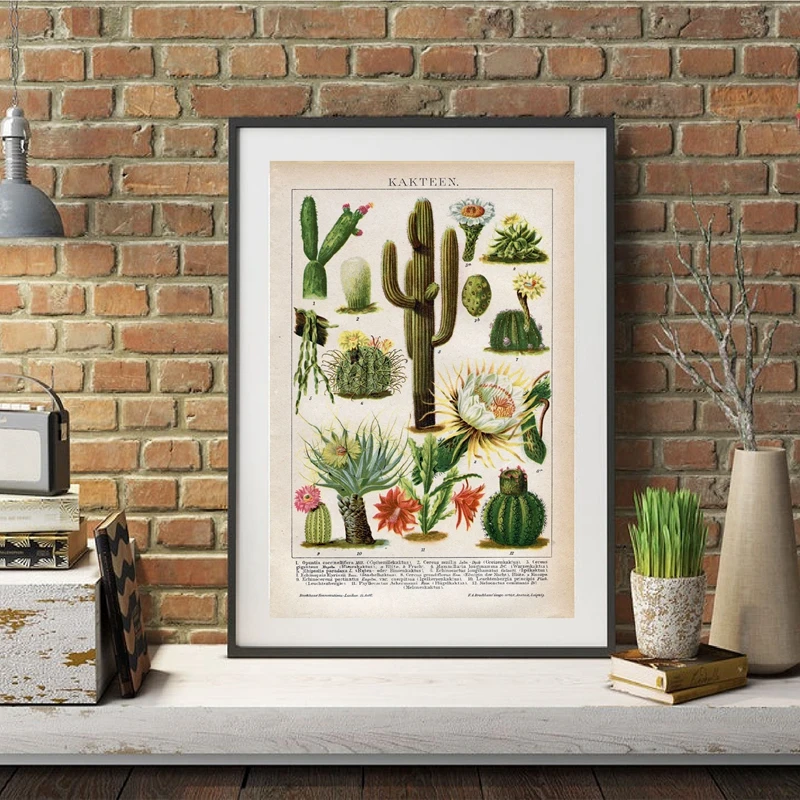 Cactus Flowers Desert Plants Botanical Prints Home Decor