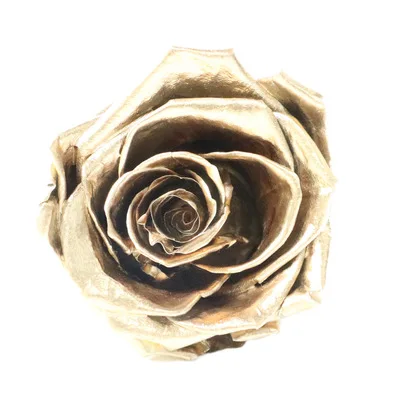 YO CHO 8 шт. сохраненные вечные розы головы в коробке Высокое качество сухой Натуральный Свежий цветок навсегда Роза год подарок на день Святого Валентина 5 см - Цвет: gold
