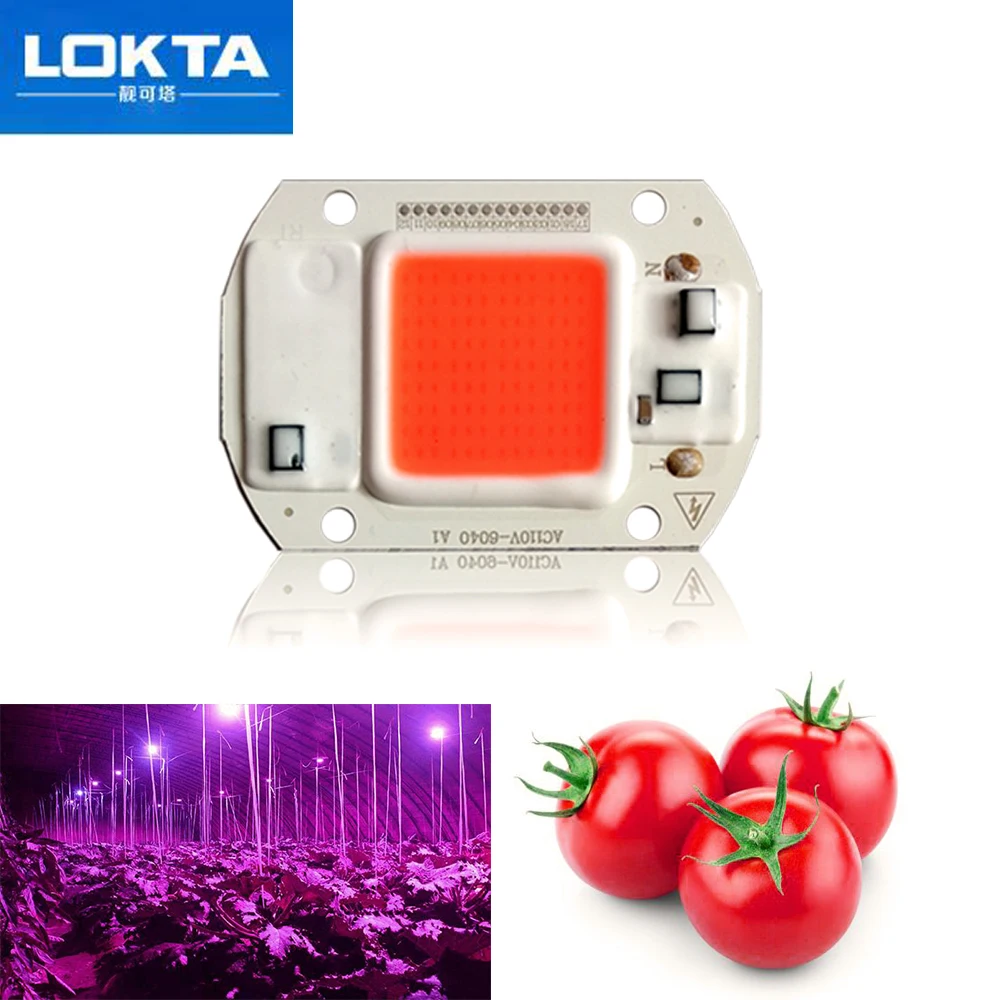 

10PCS Led Grow Light Chip 20W 30W 50W Full Spectrum AC110V/220V Best For Hydroponics Greenhouse for DIY Growth Lamps