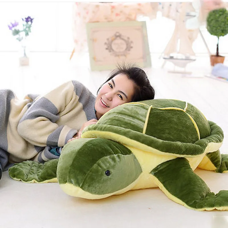 gaint tortoise4