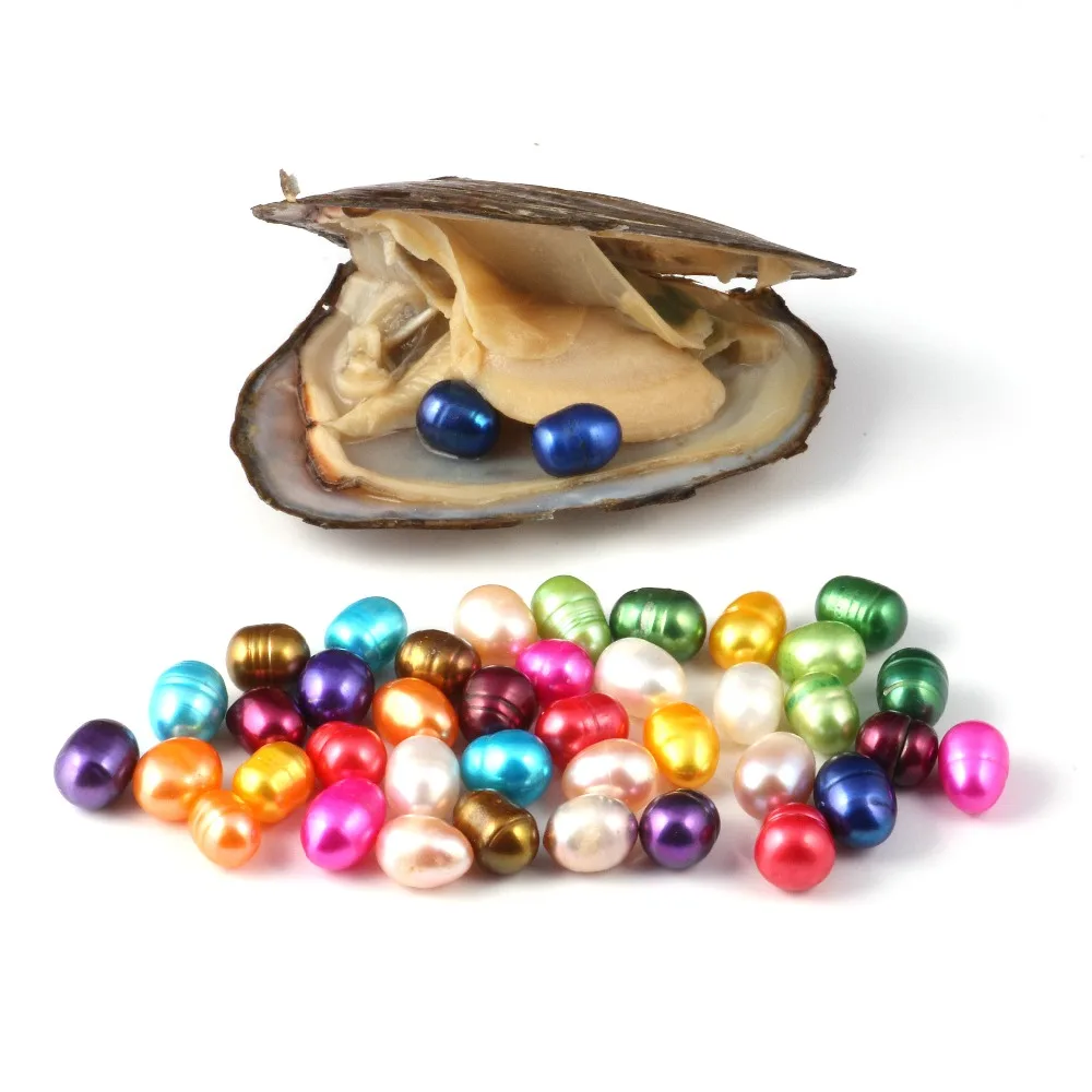 

Oysters with Twin Pearls Freshwater Cultured Pearl Oyster with 7-8 mm Oval 14 Color Pearl DIY Birthday Gifts Vacuum-Packed