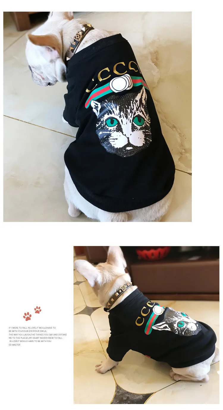 8308449880_631193632 (1)