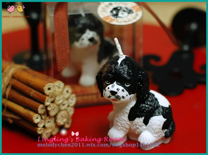 Belle Sit Noir Et Blanc Dot Chien Conception D Anniversaire Bougie