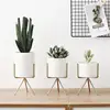 TECHOME Home Fashion Style Ceramic Flower Pot Planter Gold Iron Frame Flower Plant Holder Succulent Pot Office Desktop Ornament ► Photo 1/6