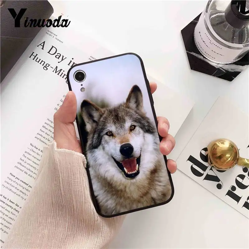 angry Animal wolf Face Pattern