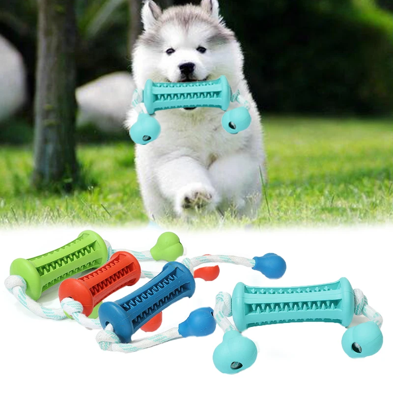 best chew toy for chihuahua