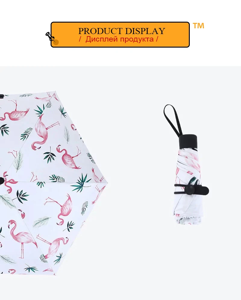 paraguas (7)