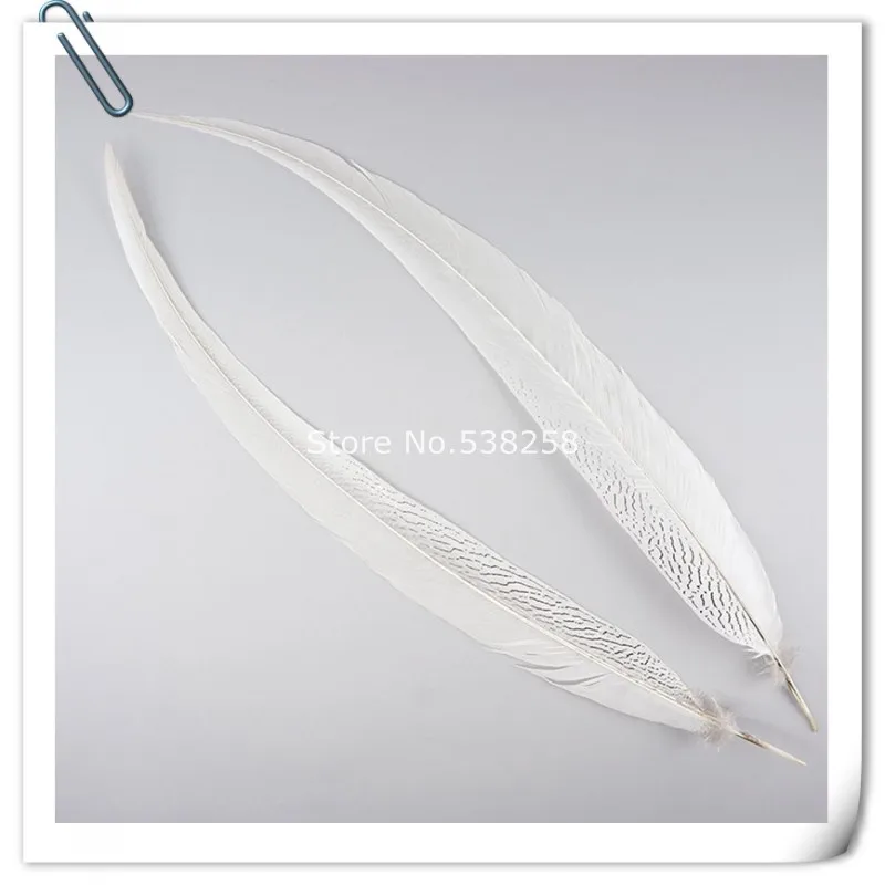 птичье перо. перо петуха. длинное белое перо. перо длинное белое. о хвостах и перьях.