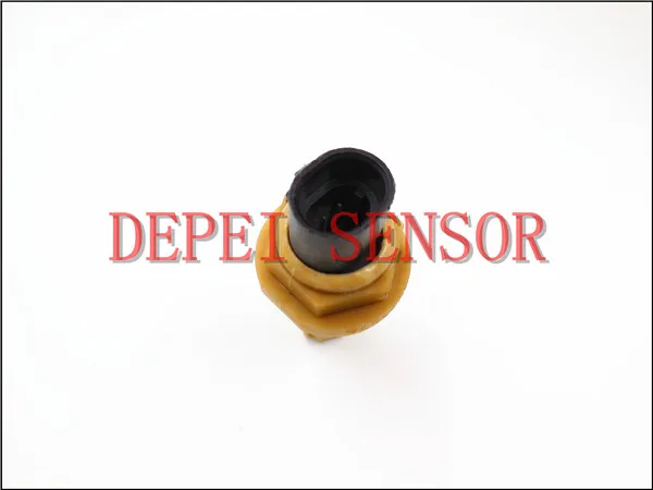 DSCN6258