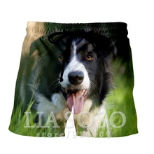 Модная Повседневная рубашка в стиле панк с рисунком аниме для мужчин и женщин, с каймой, для отдыха, homme dog, Сексуальная рубашка, спортивные пляжные тренировочные брюки в стиле Харадзюку, шорты, E883