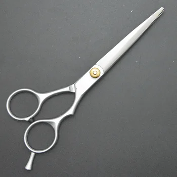 

Low Grade Barber Scissors, Professional Hairdressing Tool: Hair Scissors