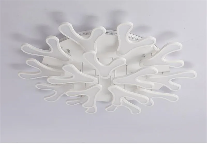 Post modern ceiling lamp (18)