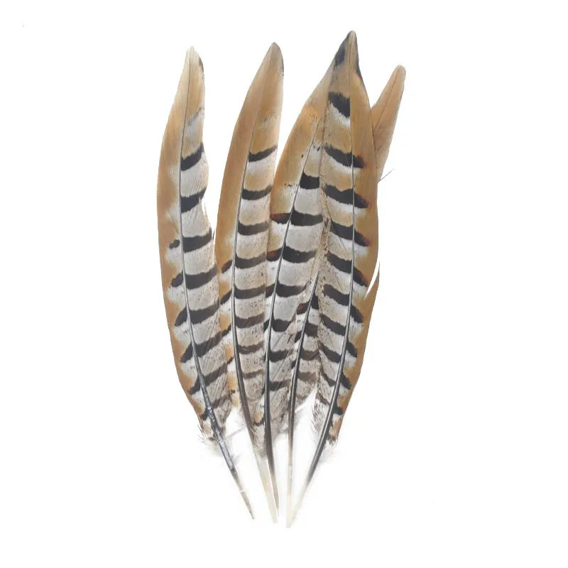 

Wholesale 25-30 CM/ 10-12 Inch Reeves Venery Pheasant Tail Feathers diy decoration