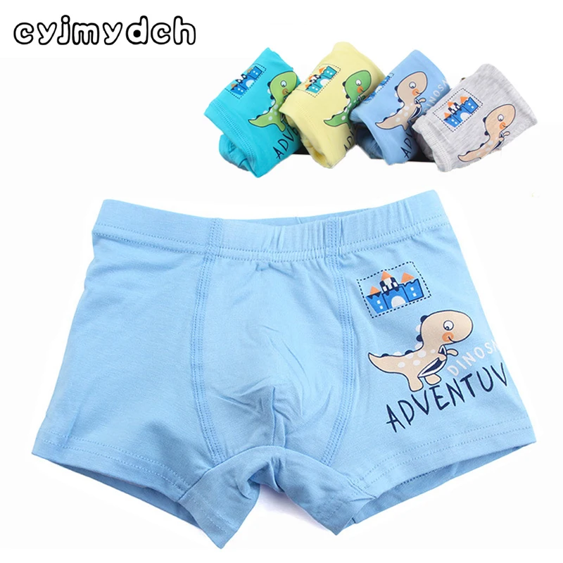 Buy 3pcs/lot Organic Cotton Dinosaur Briefs For Boys