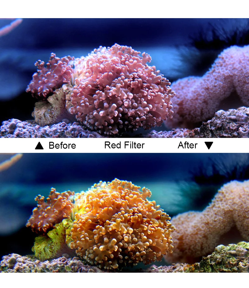 YC10652-RedSj4000_05