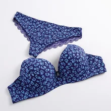 Печатные плюс Размеры D/E чашки комплекты бюстгальтеров и трусиков, высокое качество интимной Для женщин нижнее белье комплект нижнего белья выдалбливают трусики кружевные комплект нижнего белья пуш-ап H352