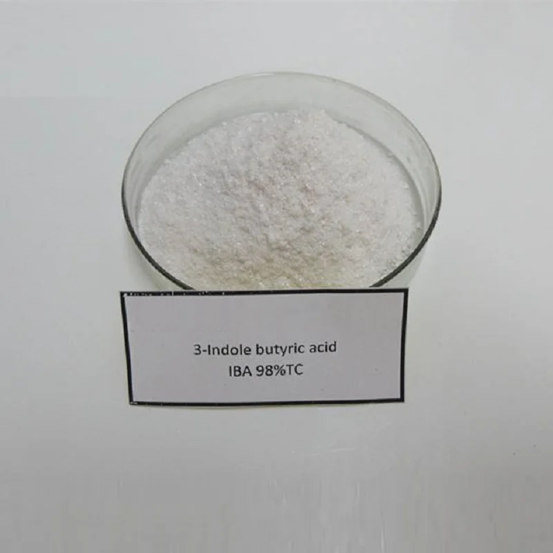 

50g 3-Indolebutyric acid (IBA) 98% Indole-3-Butyric acid