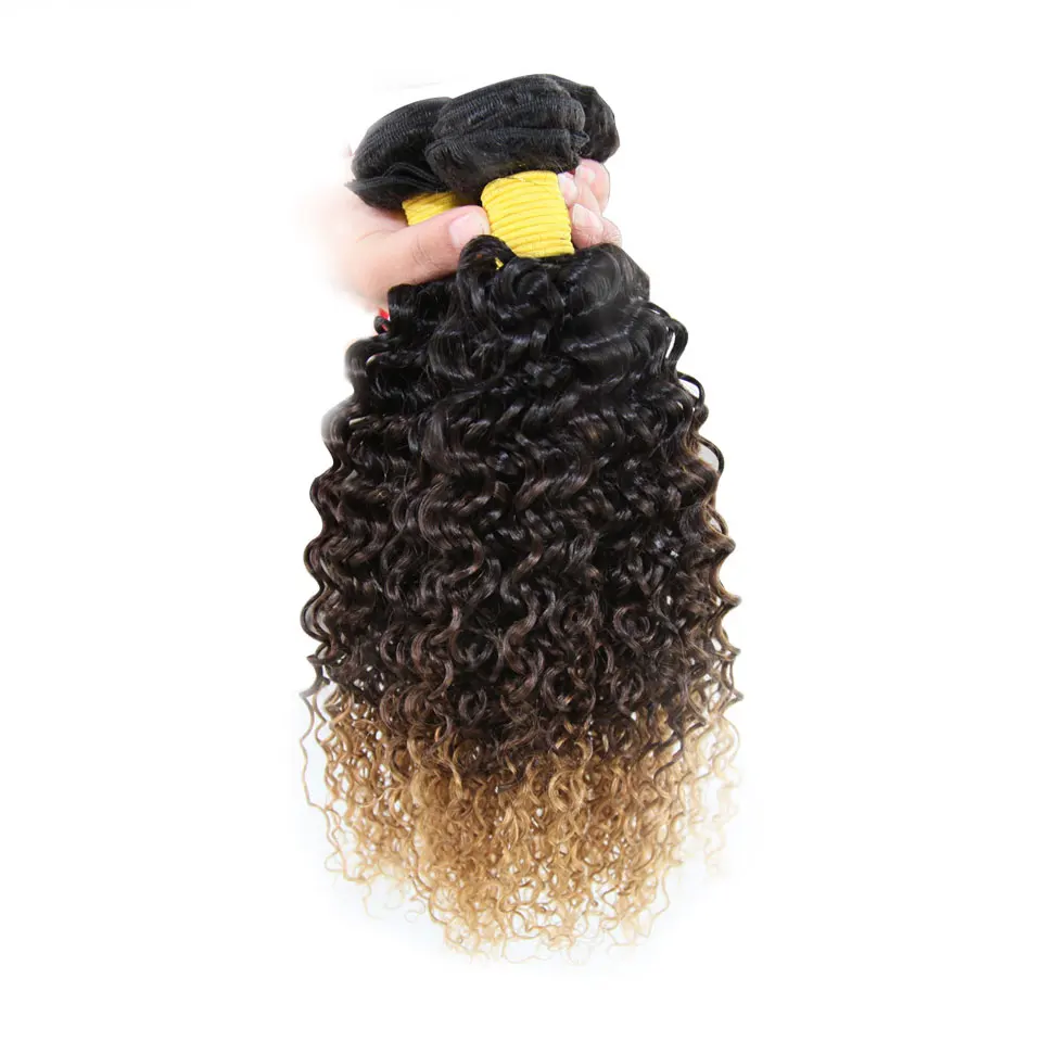 Hair Villa Ombre Brazilian Remy Hair Kinky Curly 1pc 1B427 Ombre Human Hair Bundles For Salon Low Ratio Longest Hair PCT 15% (6)