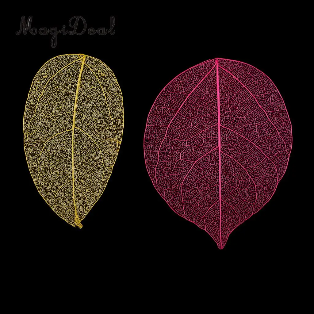 20 Pieces Pressed Dried Linden Leaves Bodhi Leaf Skeleton Leaves for Art Craft Scrapbooking Home Decoration
