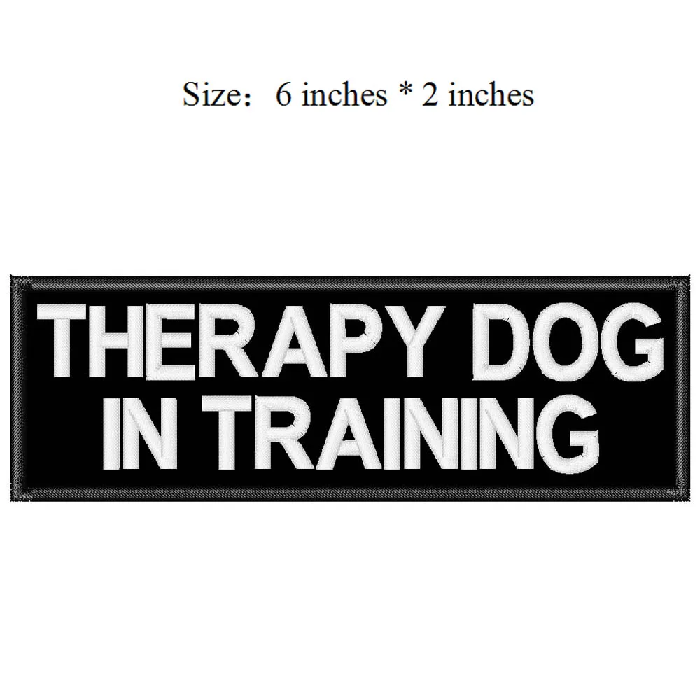THERAPY DOG IN TRAINING -9