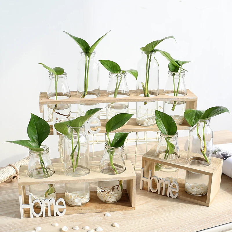 

Small Fresh Transparent Glass Vase Hydroponic Green Plant Container Living Room Desk Table Decoration Ornaments