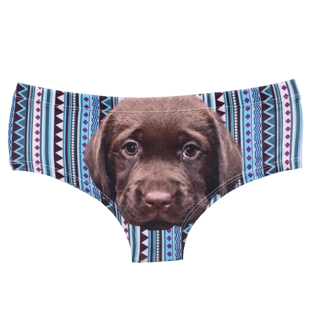39407 brown puppy aztec (4)