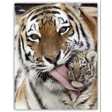 3D bild strass diamanten stickerei Tiger DIY diamant malerei diamant mosaik muster perlen stickerei kit beadwork