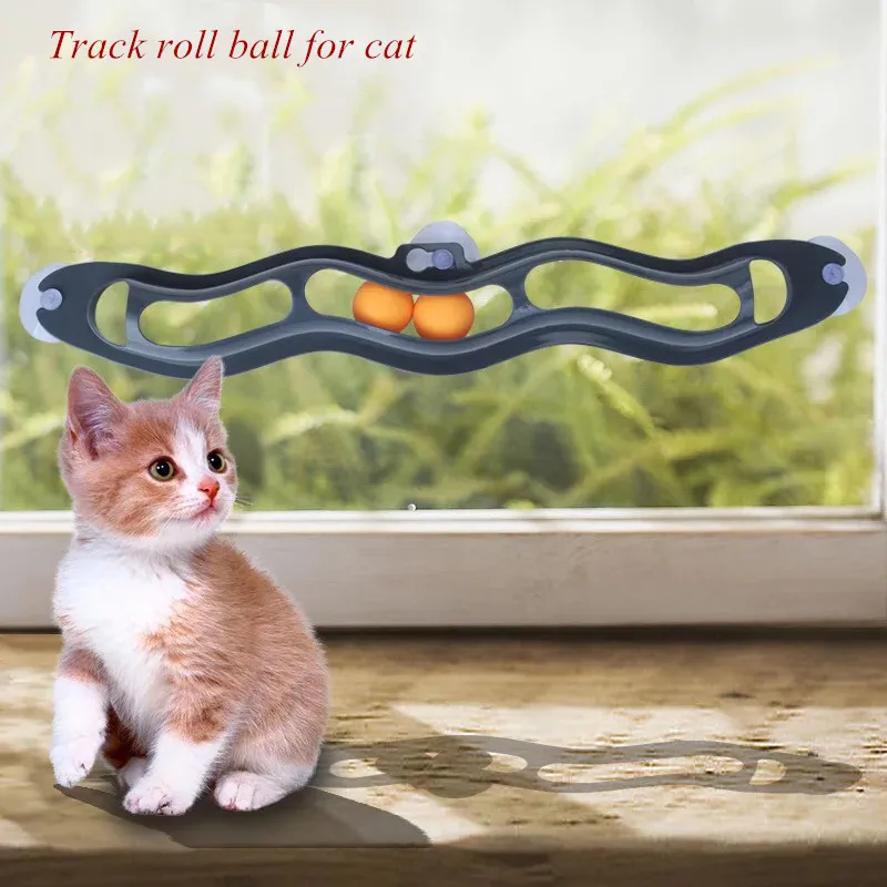 Mtl Haute Qualite Fenetre Porte Aspiration Jeu Interactif Formation Piste Roulement Balle Pour Pet Chien Chat Aliexpress Mtl Haute Qualite Fenetre Porte Aspiration Jeu Interactif Formation Piste Roulement Balle Pour Pet Chien Chat Aliexpress
