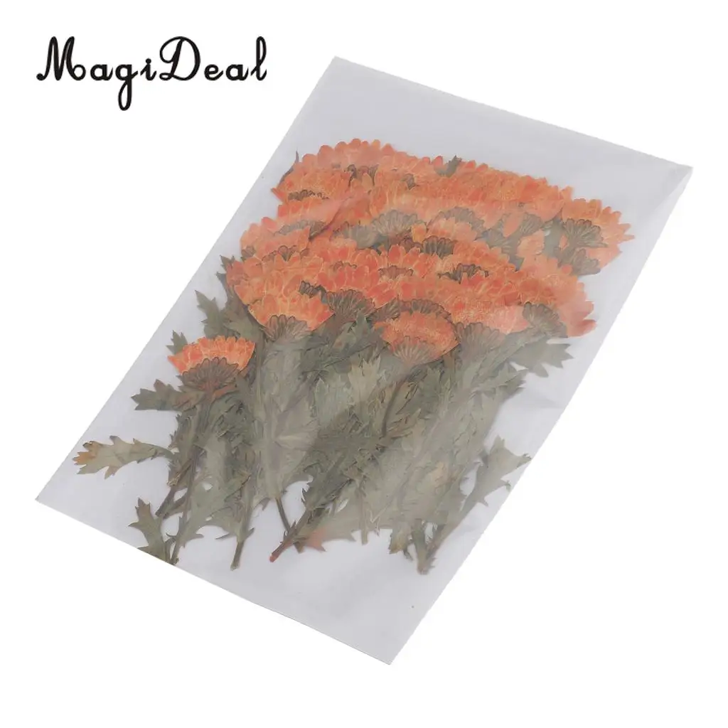 MagiDeal 50pcs Beautiful Pressed Rose Flower Dried Flowers for Art Craft Scrapbooking Card Making House Decoration