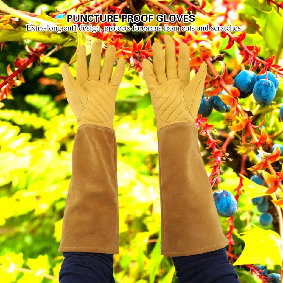 Роза Обрезка садоводства кожаные перчатки износостойкие прокол доказательство Длинные рабочие перчатки