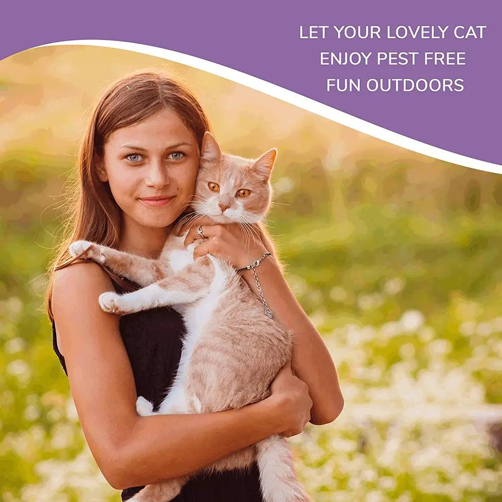 Dog Collars & Leashes Cat Anti Flea Mite Tick Collar Deodorize Natural