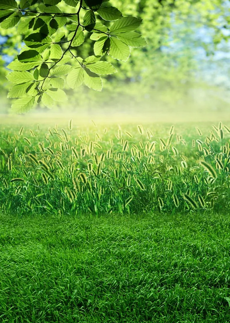 Spring Grass Field Backdrop For Photo Shoot Photography Backgrounds For