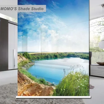 

MOMO Thermal Insulated Blackout Fabric Custom Blue Window Curtains Roller Shades Blinds, Alice 41-44