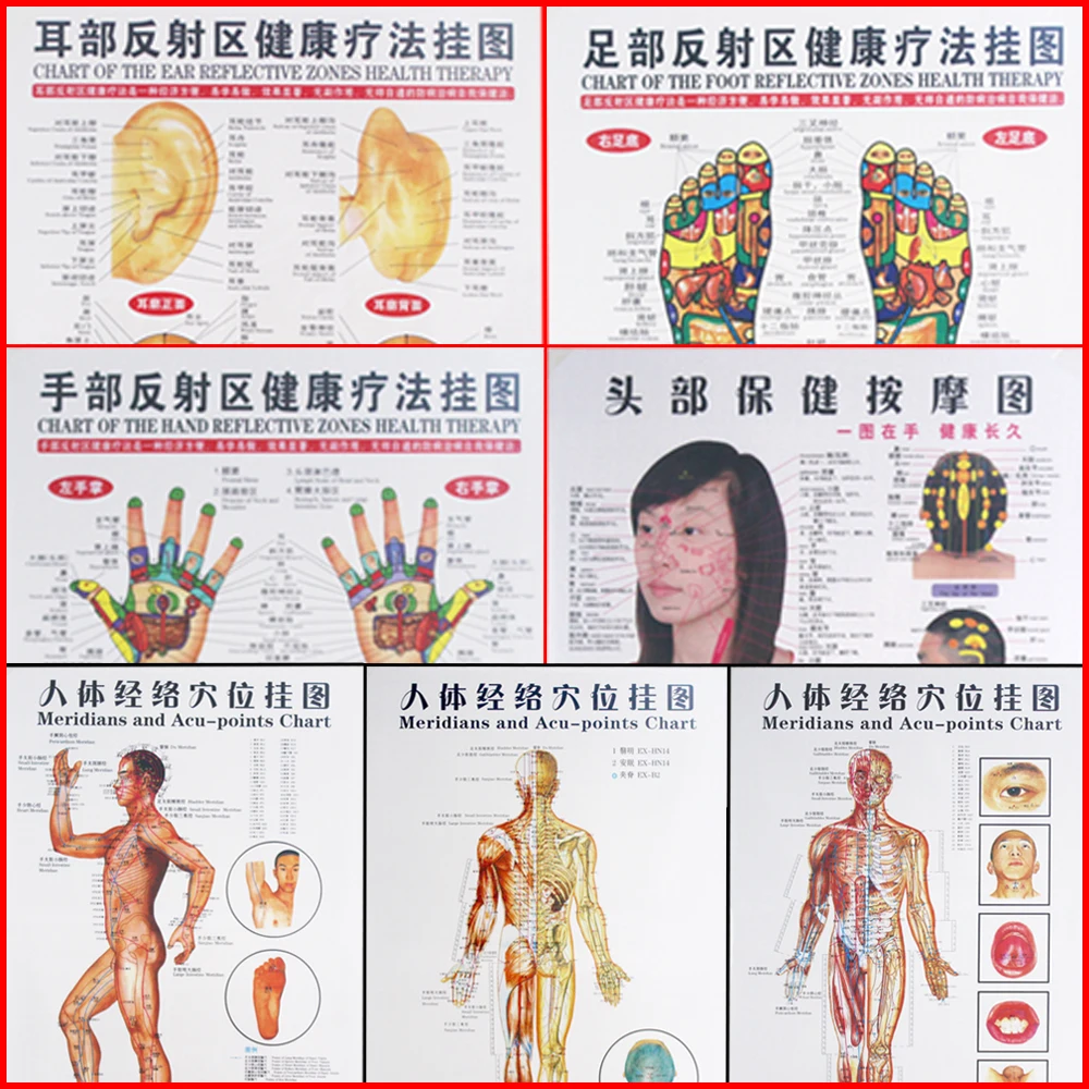 7 шт./набор акупунктуурный массаж Punt Kaart китайский и энгелс Меридиан акупрессуурпунтен плакаты Grafiek Muur Kaart Voor Medische