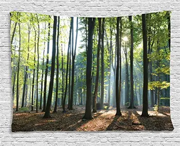 

Farm House Decor Collection Sunbeams Rays Shadows Morning Rising Sun Decorative Serenity Picture Print Room Tapestry