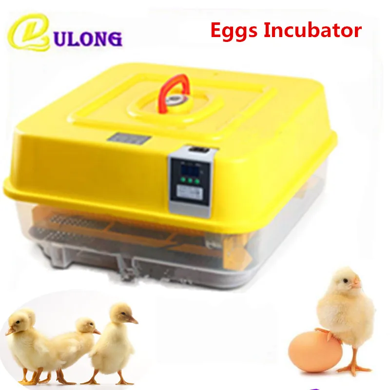 

Automatic digital temperature control incubator for chicken quail goose ducks brooder machine small hatcher equipment