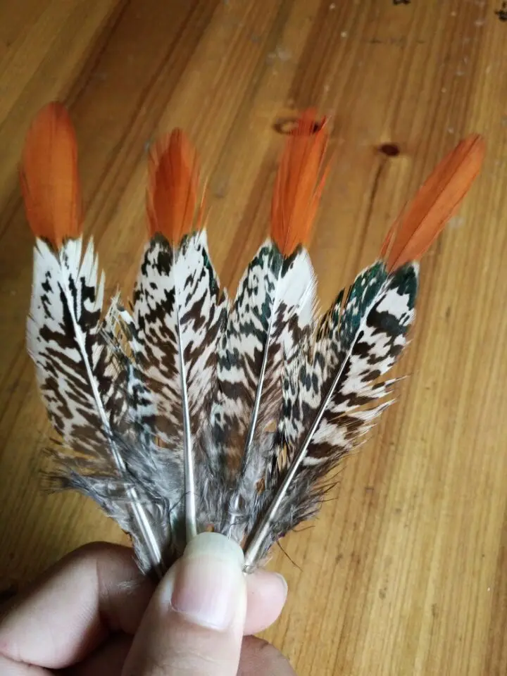 New! 100 pc Lady Amherst Pheasant feathers 4-6inches / 10-15cm DIY decorative handicrafts | Дом и сад