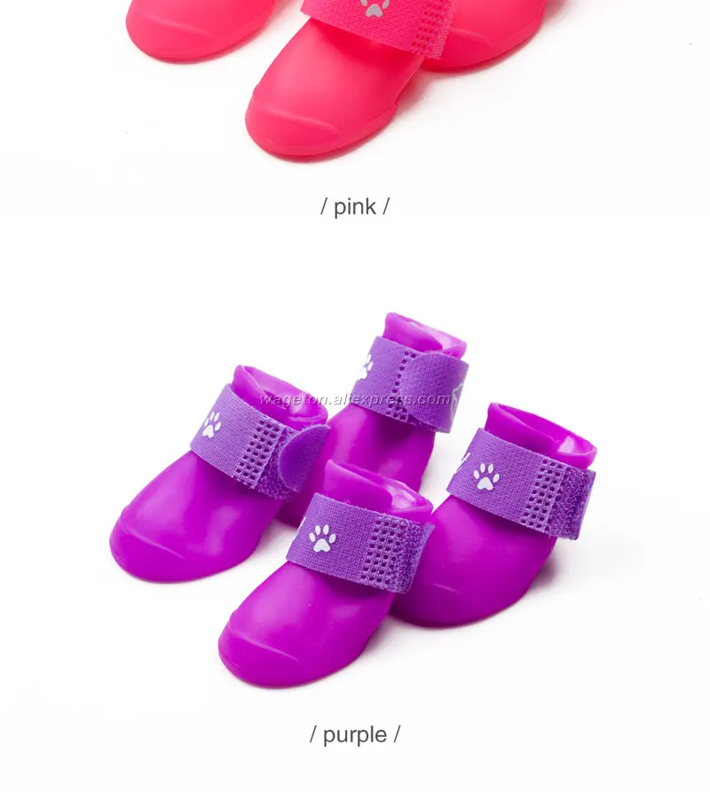 9-shoe-for-dog