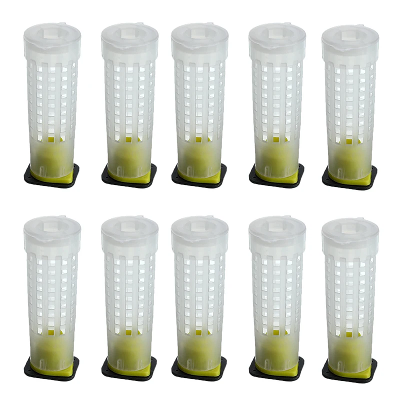 10 шт пчеловодства клетки пчеловодства Набор держателей для пчеловодства клетка для пчеловодов роликовые Клетки Оборудование для пчеловодов инструмент