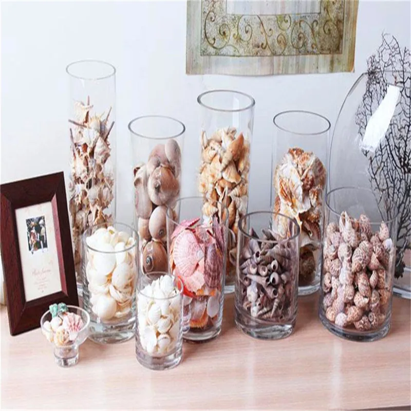 approx 500g collect beach mixed seashells sea shells shell craft new