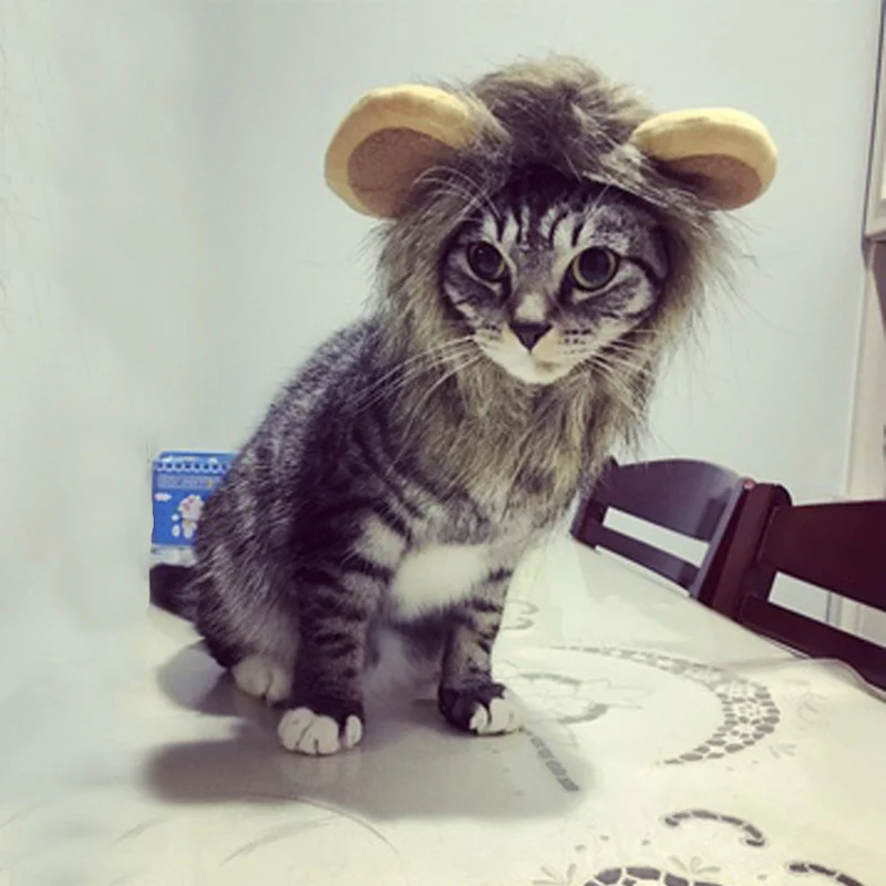 Funny Cute Pet Costume Cosplay Lion Mane Wig Cap Hat for Cat Halloween Clothes Fancy Dress with Ears Autumn Winter Funny Cute Pet Costume Cosplay Lion Mane Wig Cap Hat for Cat Halloween Clothes Fancy Dress with Ears Autumn Winter