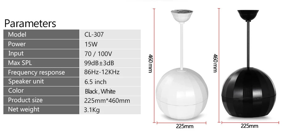 CL-307_02