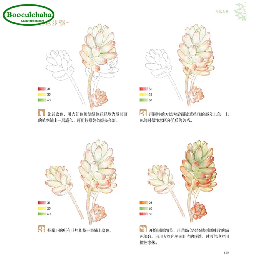 Golored карандаш живопись учебник живое растение