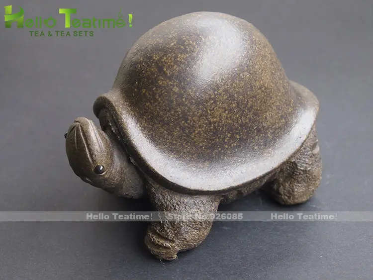 tortoise
