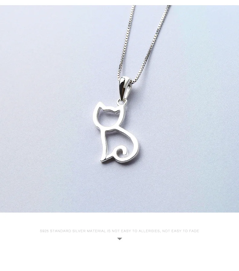 4447145504_117890343